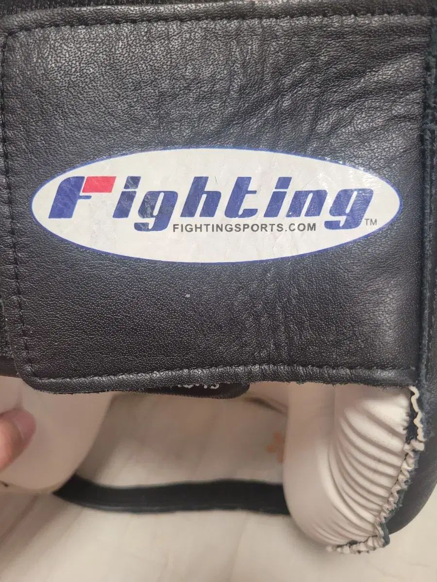 ファイティング ボクシング