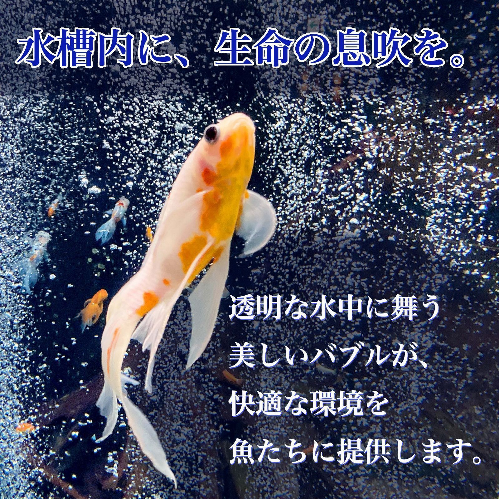 エアーホース白5ｍ 切り売り メダカ 熱帯魚 観賞魚 亀 金魚 ザリガニ