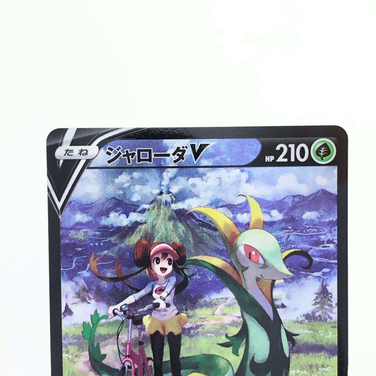 ▽▽ ポケモンカード ジャローダV 084/068CSR ポケカ - メルカリ