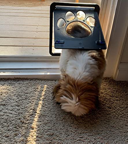 ロッキングできる 猫ドア