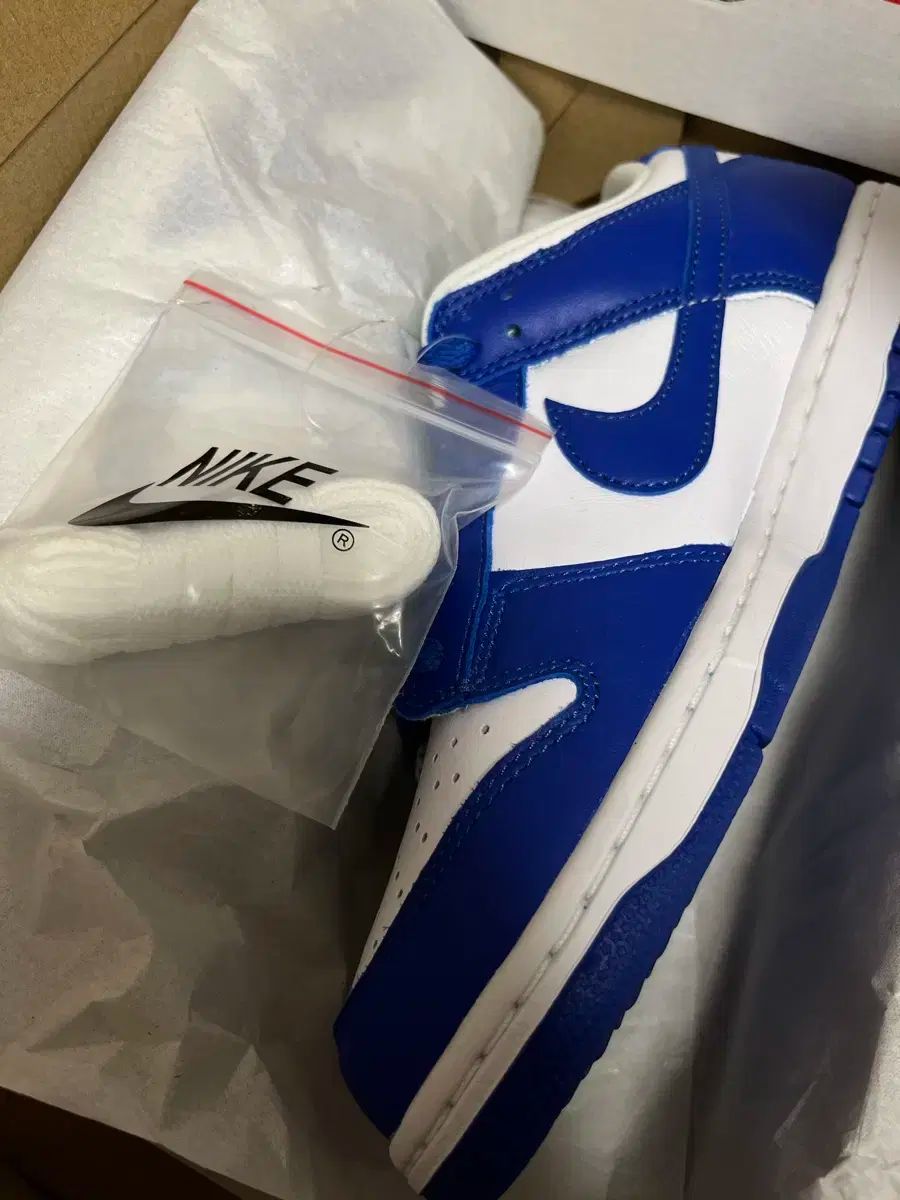 NIKE ナイキ ダンク ロー SP ケンタッキー 2025 260