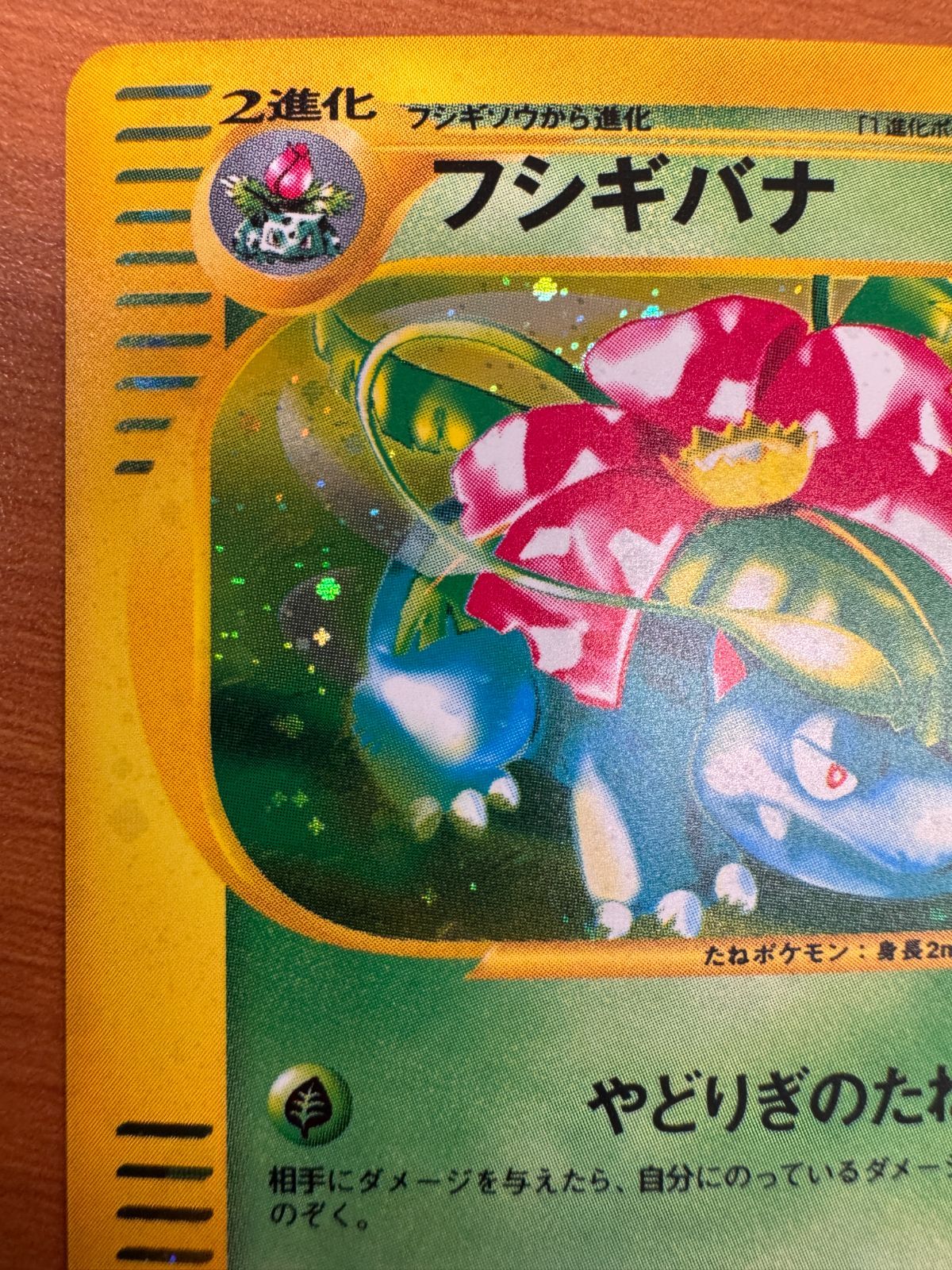 美品 フシギバナ トリプルゲットキャンペーン 012/P カードE ホロ 