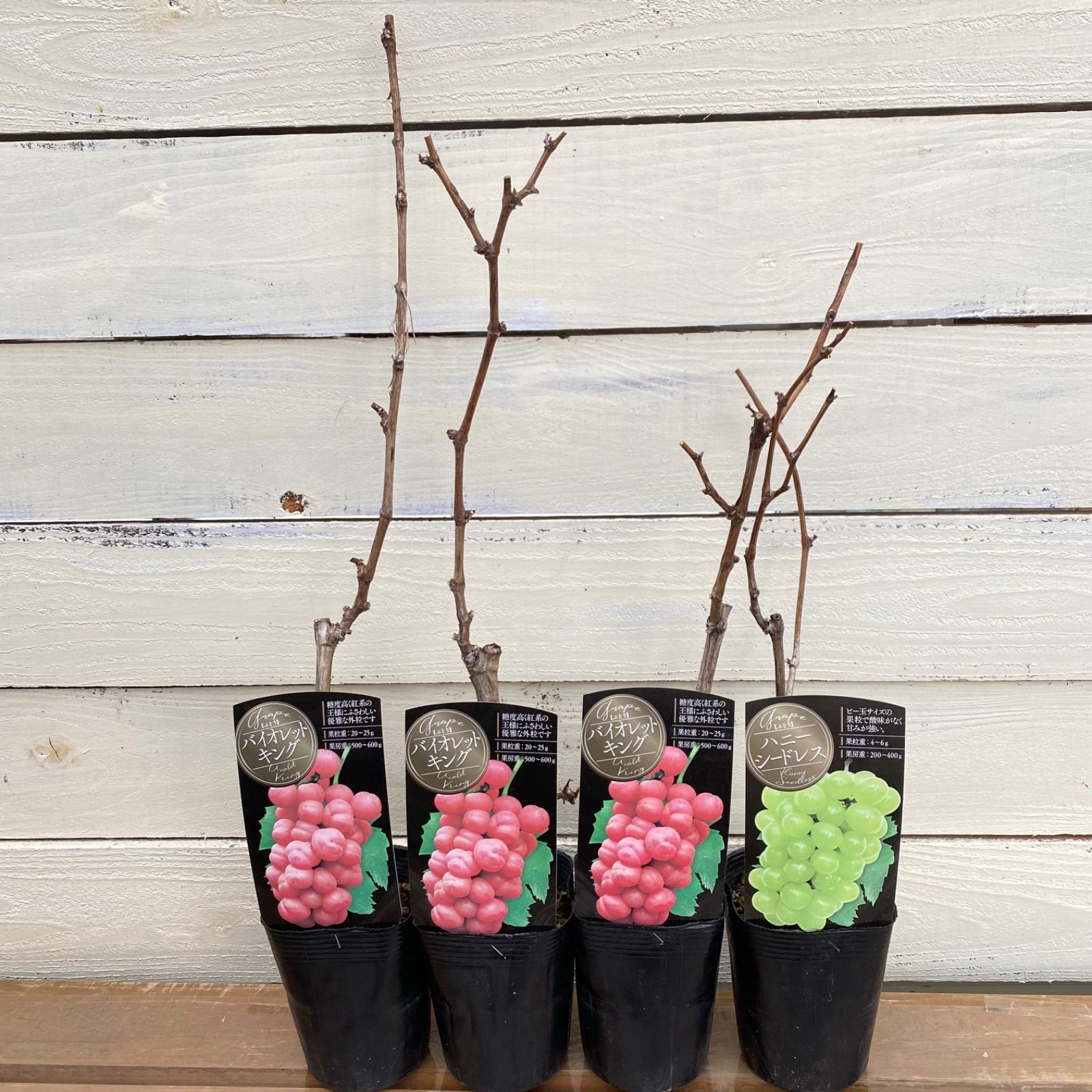 極美品♪ドゥロワー 16Gリブタートルプルオーバーニット カシミヤ