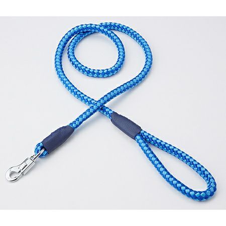 壁飾り 双頭の鷲 刀剣飾り（スペイン ポルトガル）