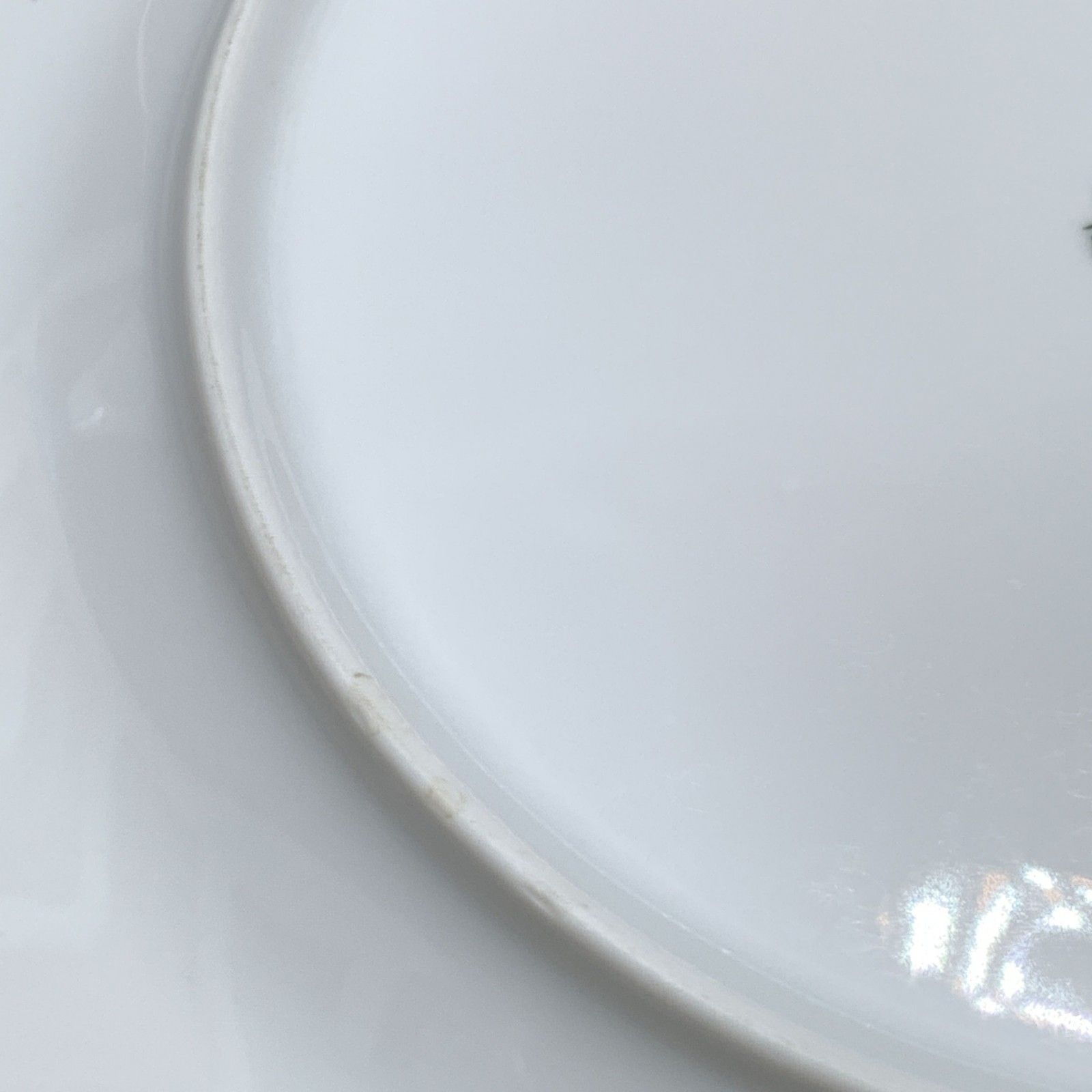 P398 リチャードジノリ ミュージオ ホワイトシリーズ 4枚おまとめ 直径