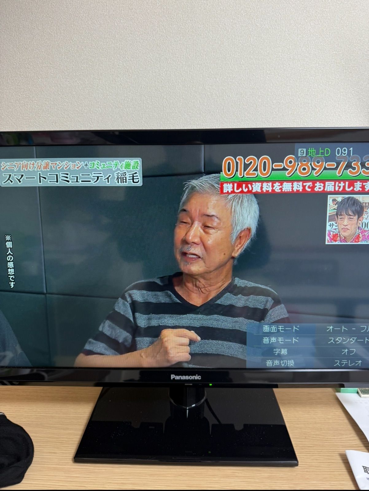 SGM Panasonic VIERA TH-24G300 24V型 液晶テレビ