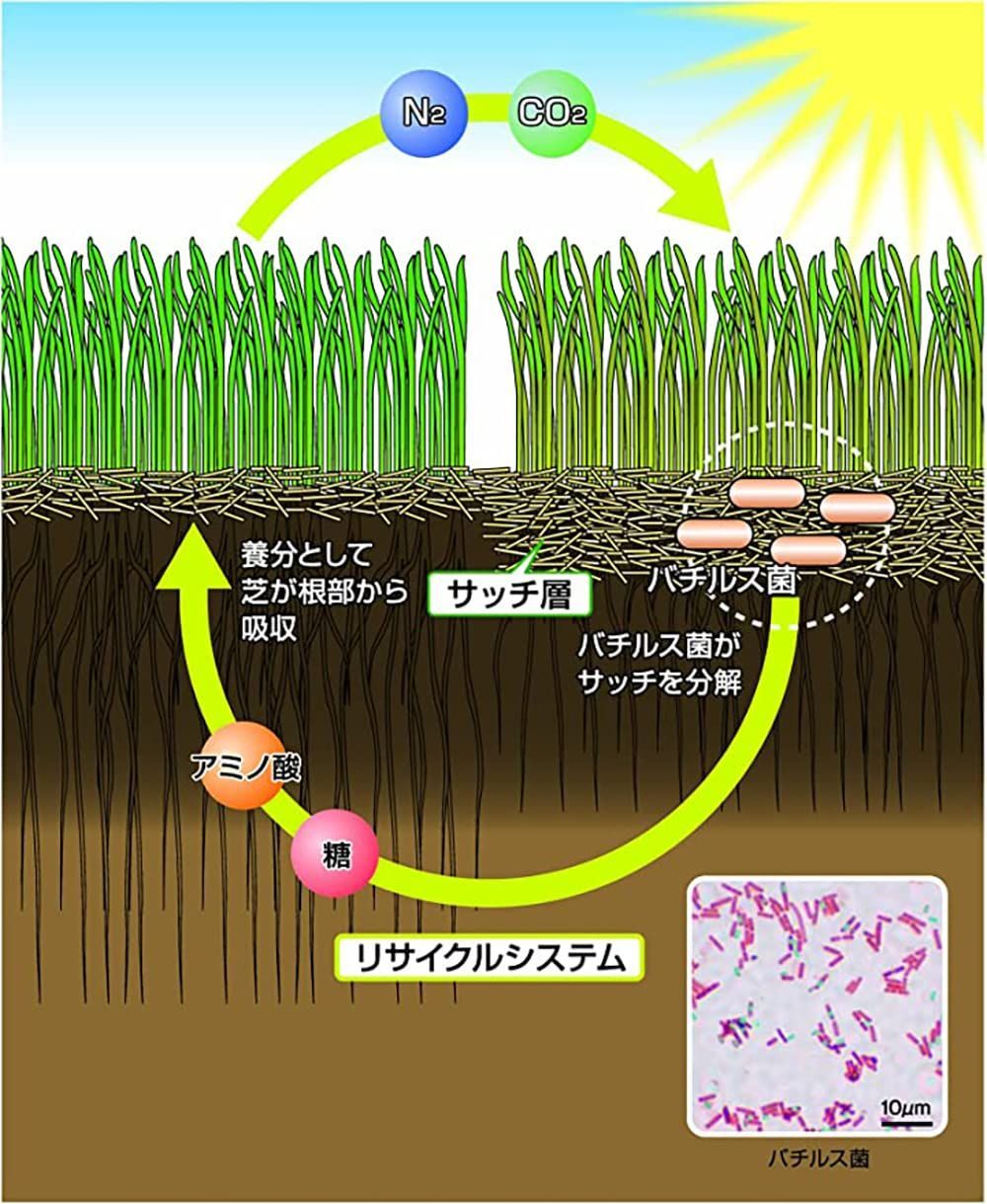 【在庫処分】イデコンポガーデンEV 3kg 芝生 肥料 土壌改良剤 サッチ分解促進