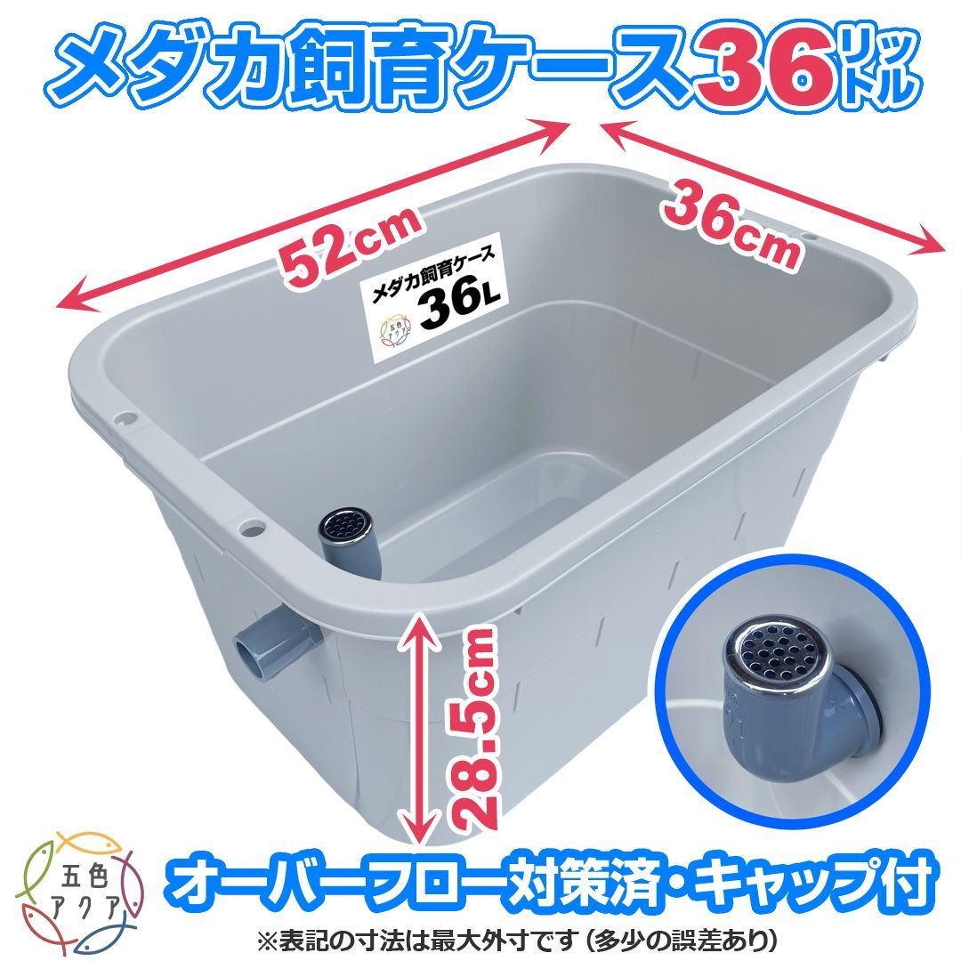 メダカ飼育ケース 36㍑x1個【4色あり】オーバーフロー加工付 金魚