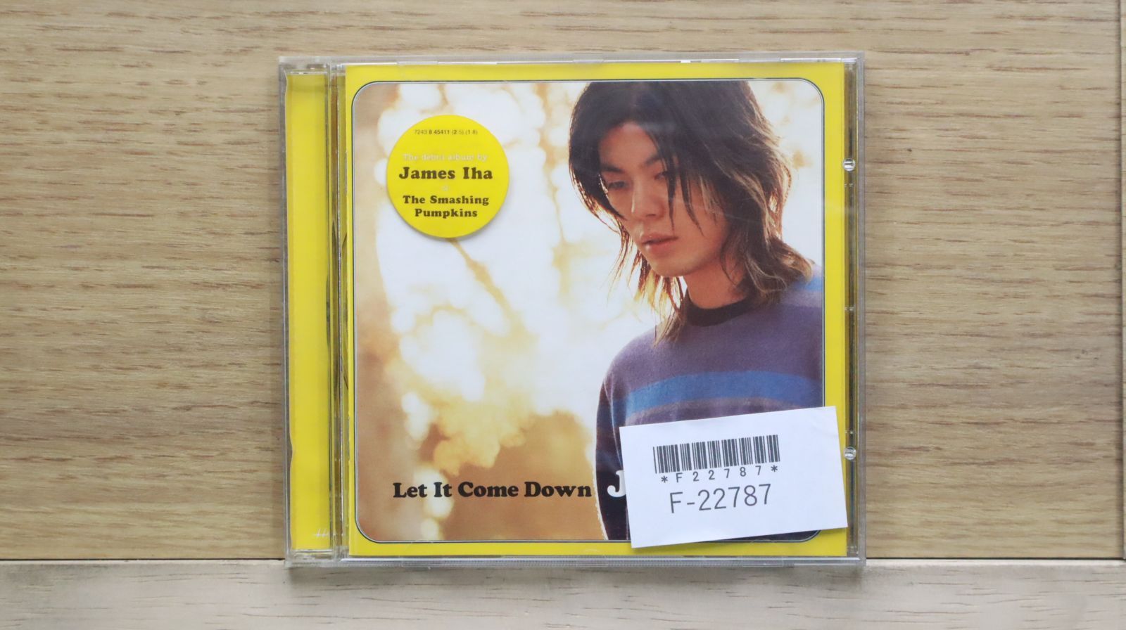 未使用LP James Iha Let It Come Down ジェームスイハ