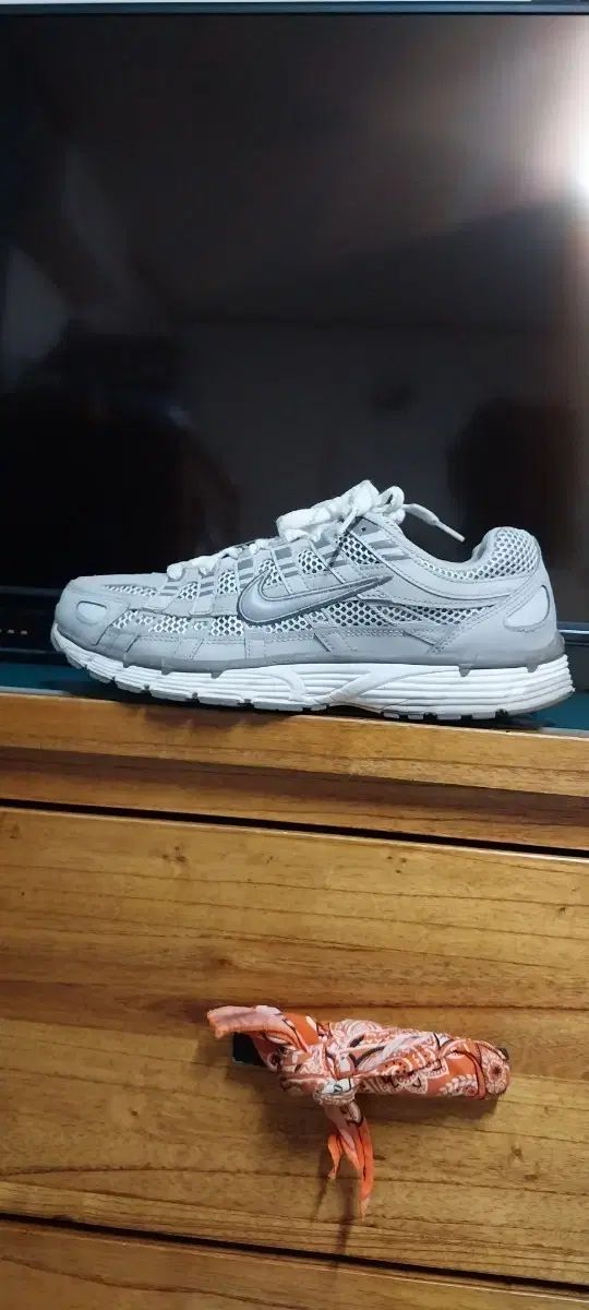 NIKE ナイキ 正規品 P ー 6000 ランニングシューズ 270