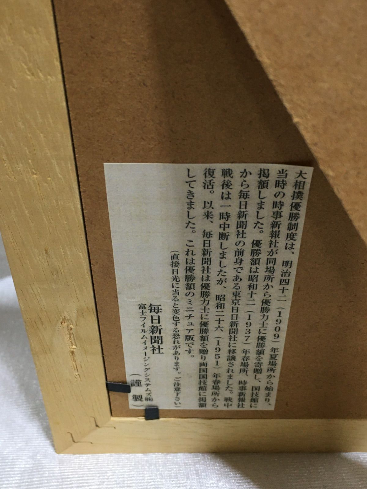 ミニ額