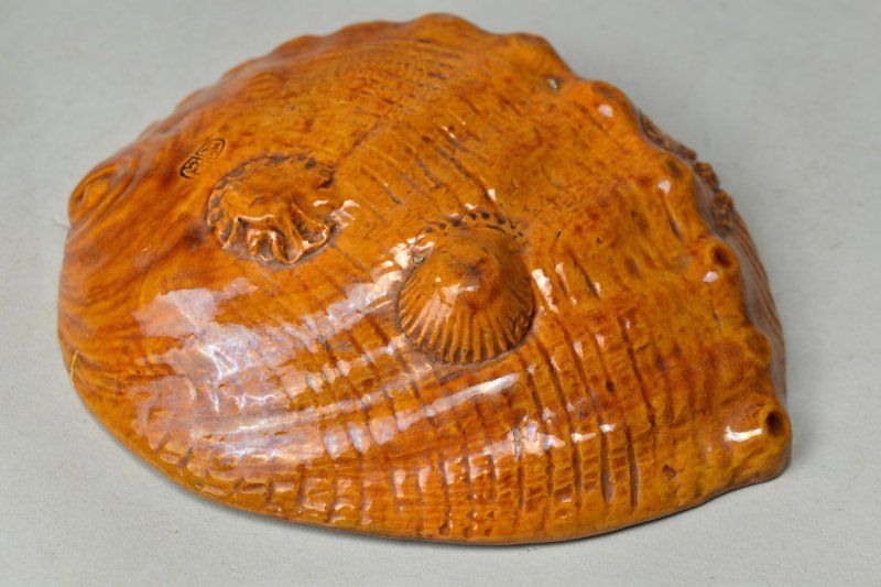 蔵A5326 古美術 紀州藩 秦焼 貝型皿 江戸時代 WWW_IMPECCABLEHEALTHCARESERVICES_COM