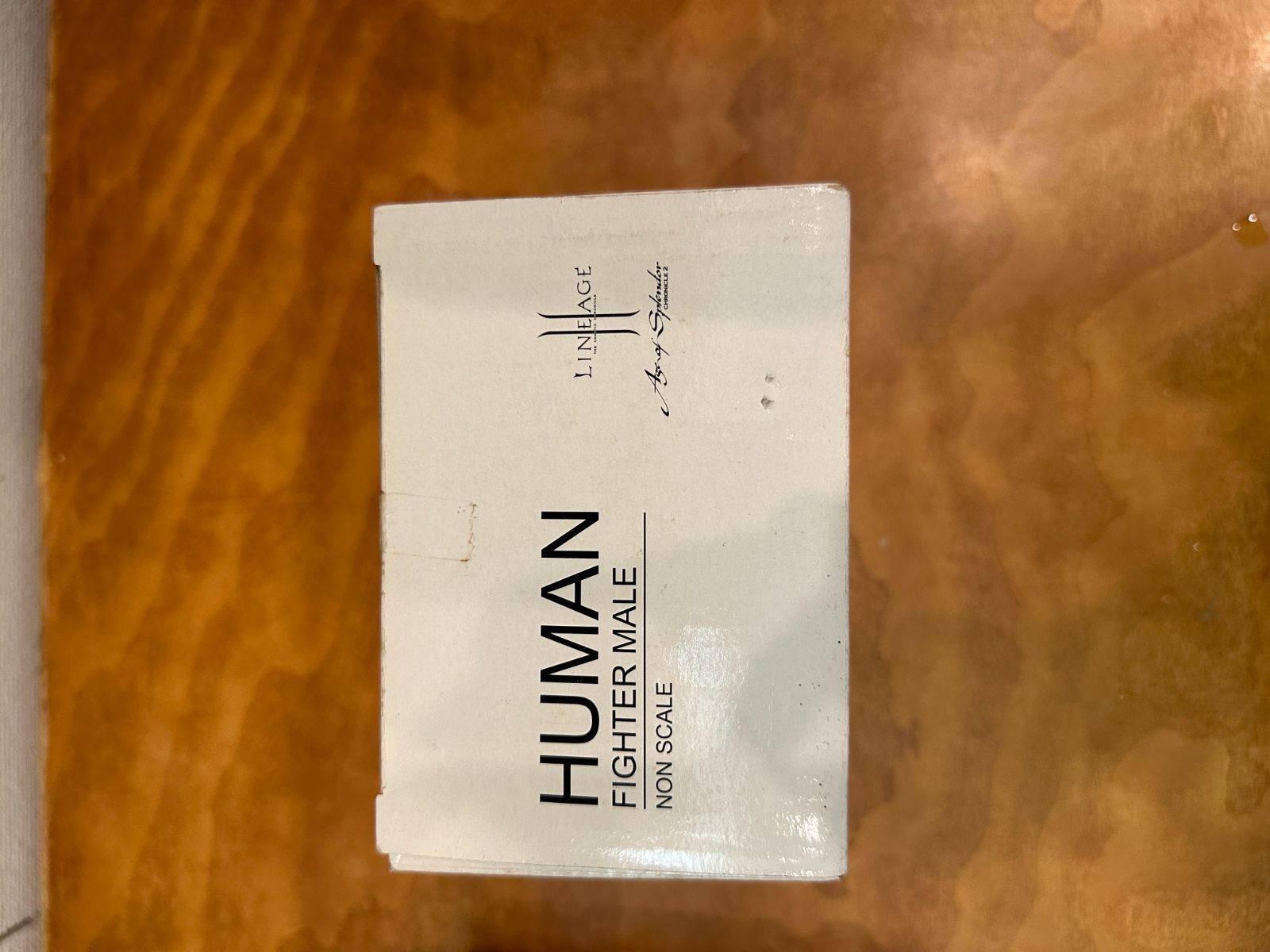 LINEGE リネージュⅡ ヒューマン ファイター 特製フィギュア LINEGE リネージュⅡ ヒューマン ファイター 特製フィギュア