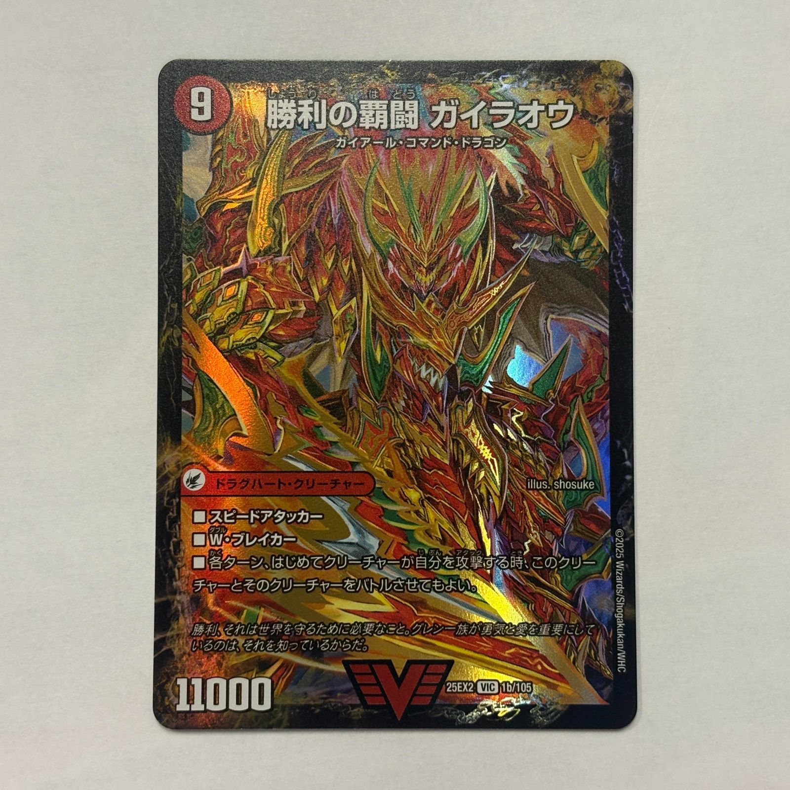 DM25EX2VIC1 覇闘将龍剣 ガイオウバーン/勝利の覇闘 ガイラオウ