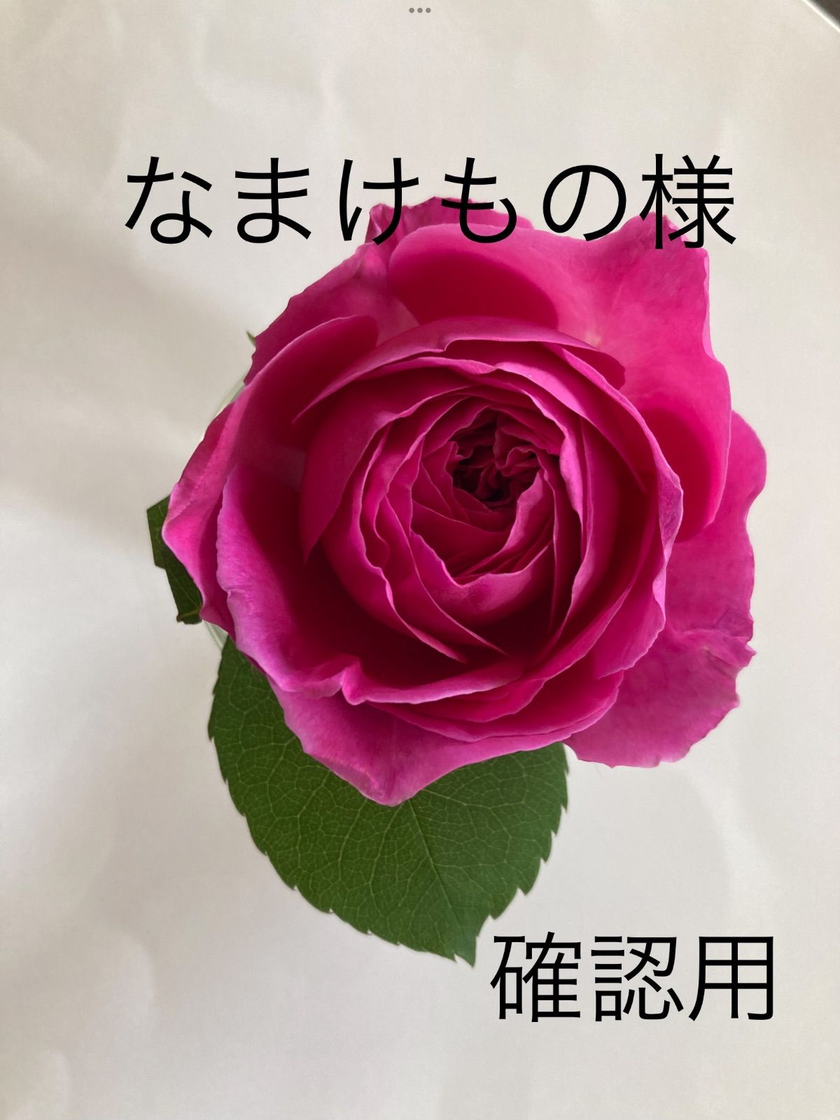 なまけもの様 用 天然石ピアス
