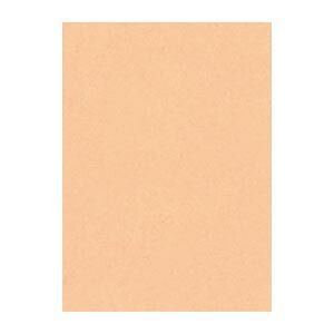 リンテック ニューカラーＲ 4 NCR-103 うすだいだい