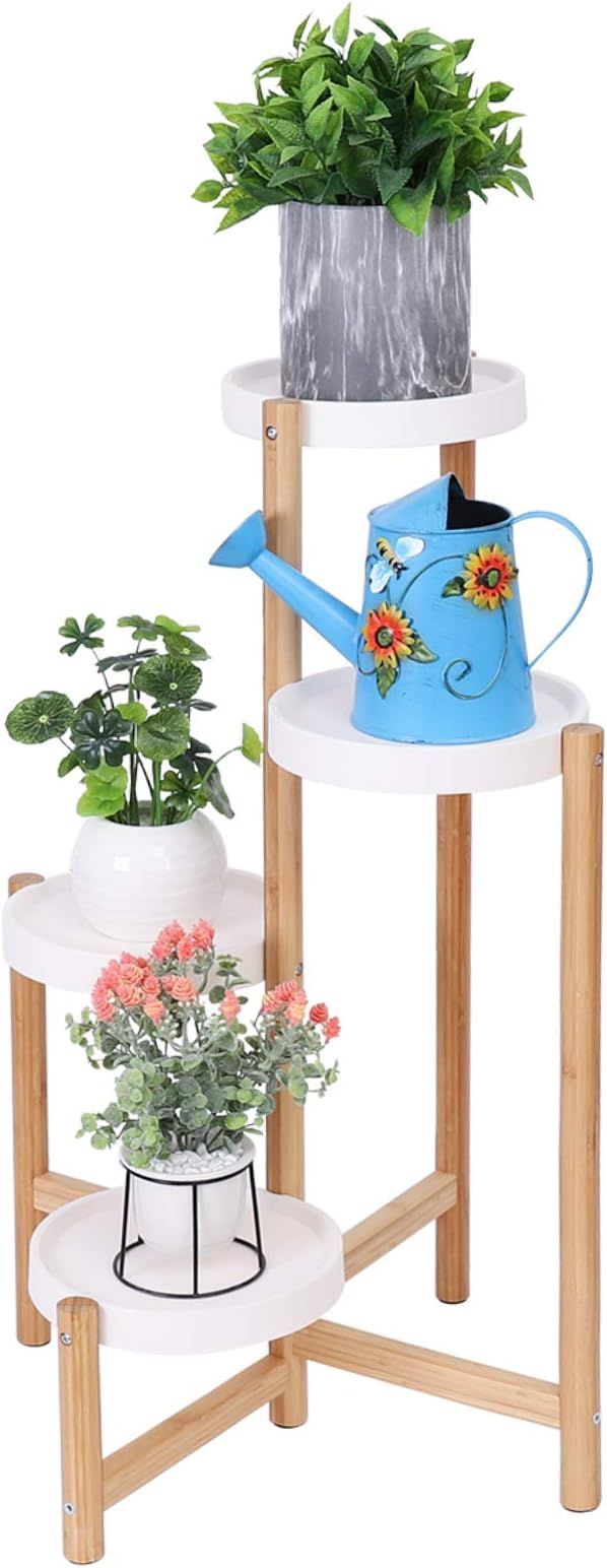 超絶希少！多肉植物シリーズ・エケベリア属・コッキネア・モンストin