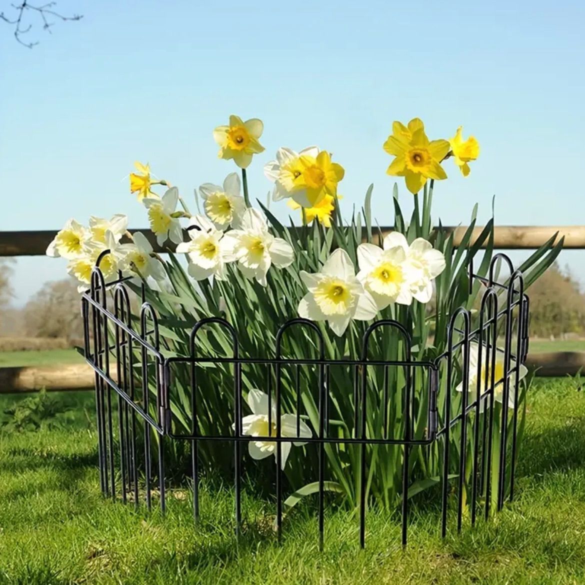 アンティークのアイアンパネル フェンス ガーデニング