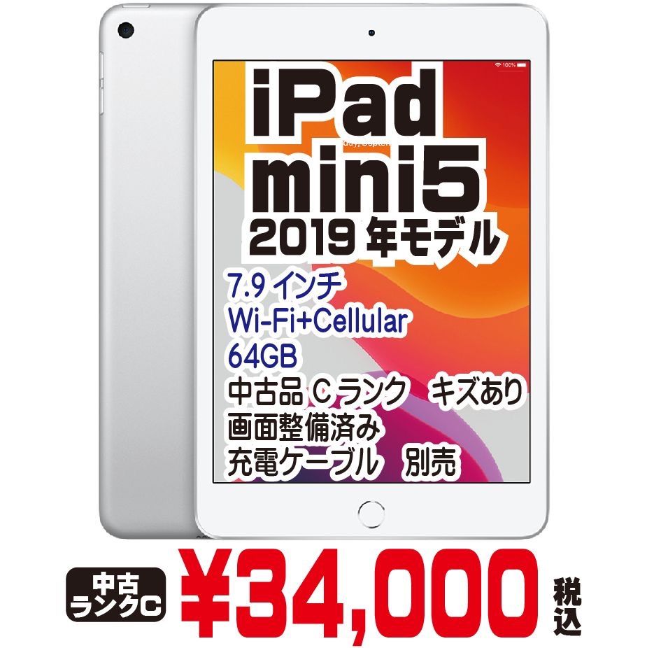 593【美品】 iPad mini 第5世代 256GB Apple 国内版SIM フリー ...