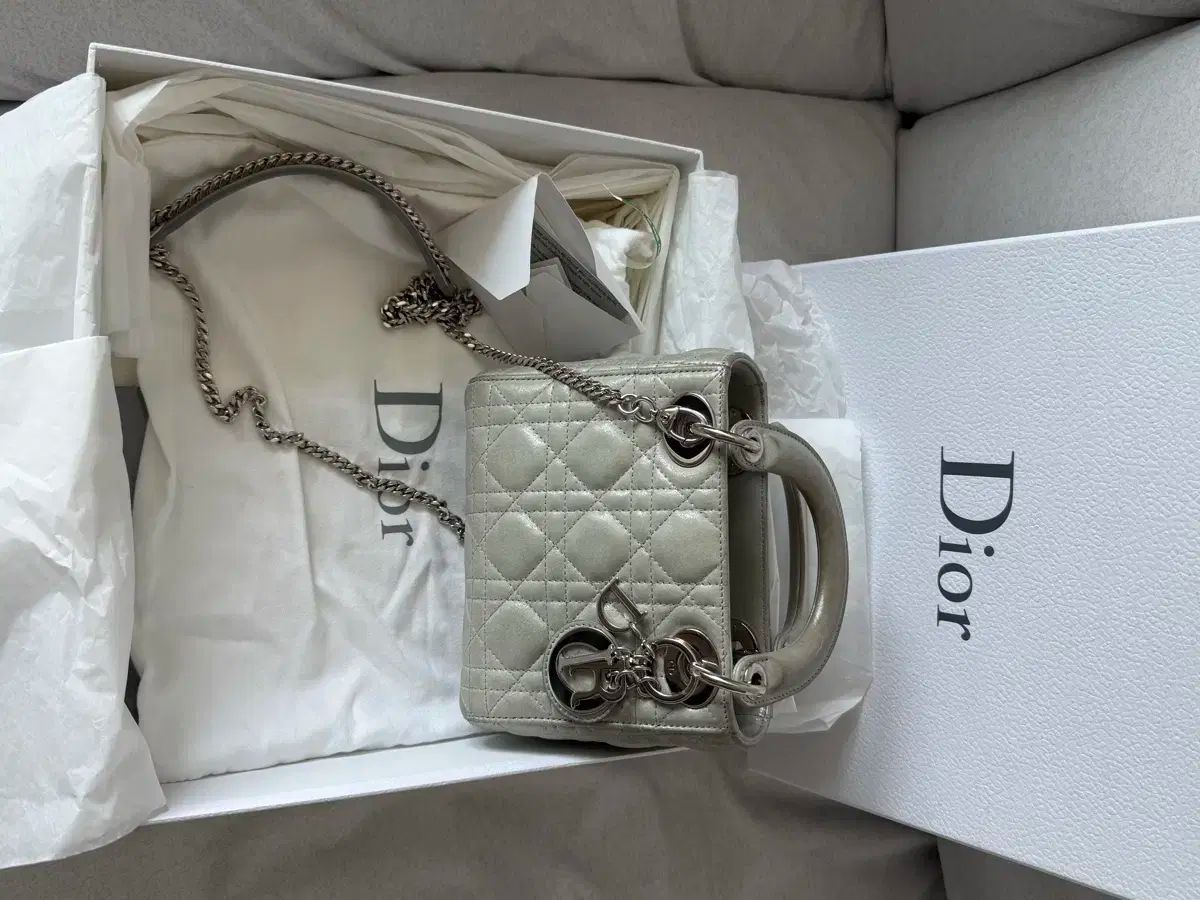 レディー Dior ディオール ミニ パールグレー