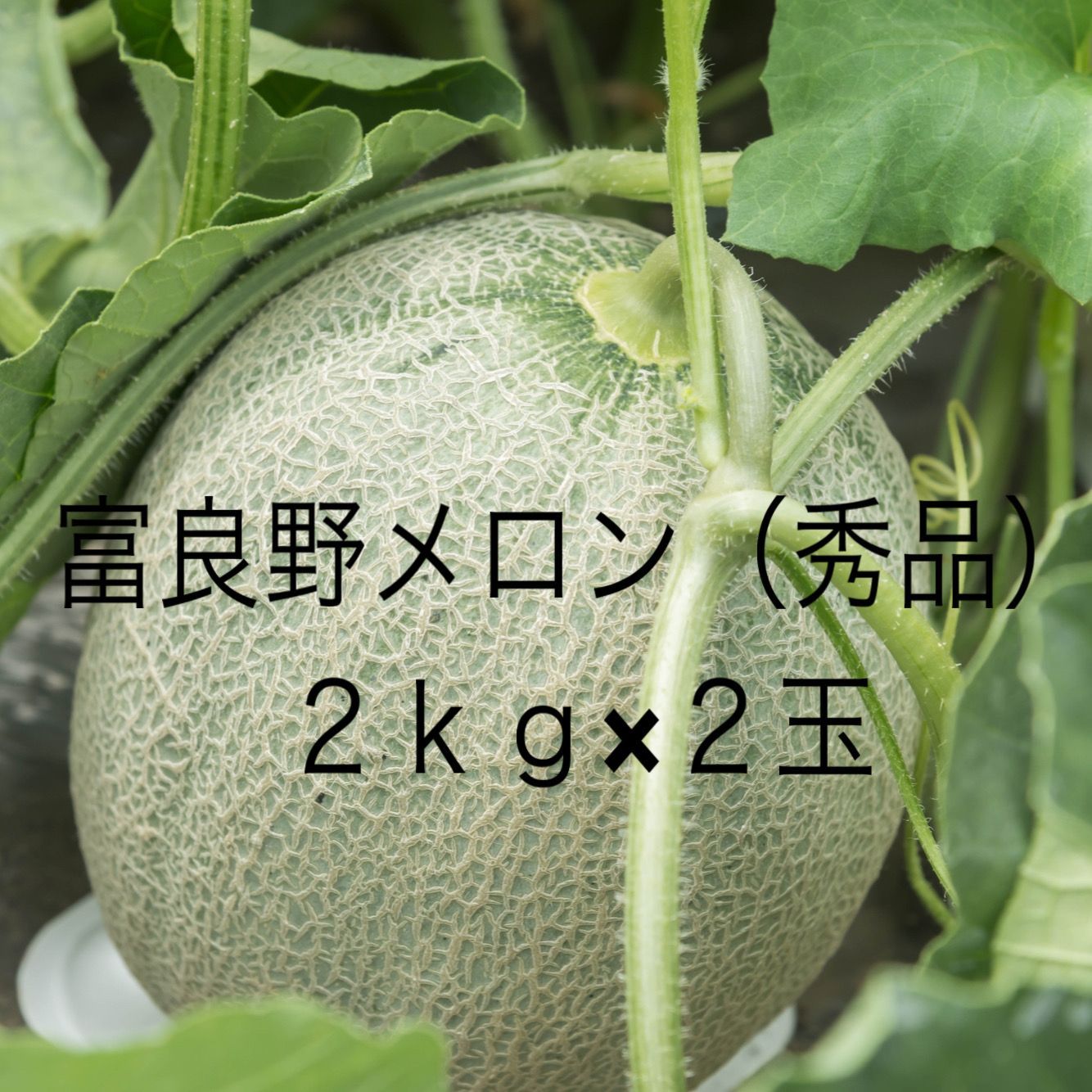 富良野産】富良野メロン(秀品）（大玉2kg×2玉） 【のし対応可】 - メルカリ