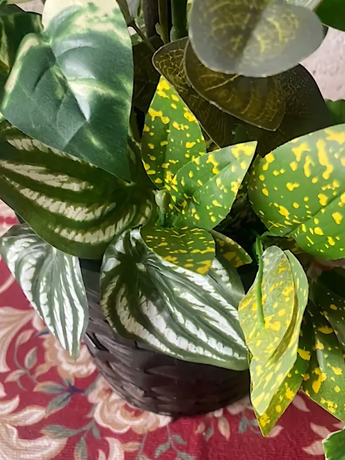 光触媒 人工観葉植物