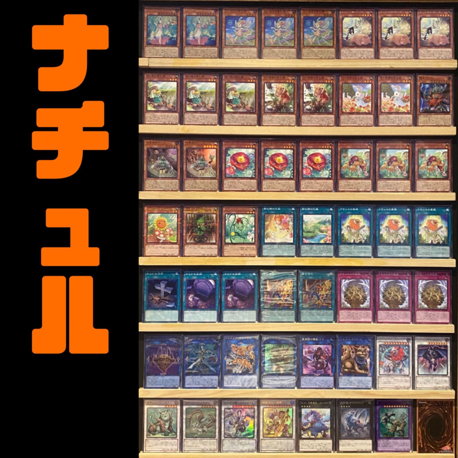 遊戯王 ナチュル•ビースト サンフラワー - 遊戯王OCG デュエルモンスターズ