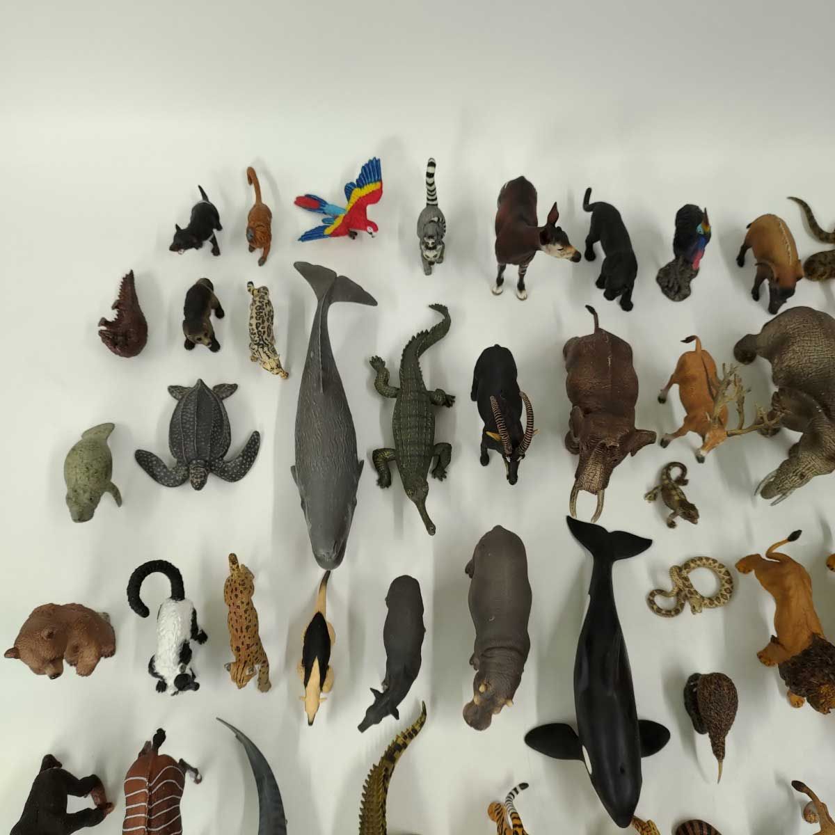 [68点セット] シュライヒ Schleich Papo パポ COLLECTA MOJO 動物 クジラ ゾウ ライオン ヒョウ アライグマ ベア まとめ 大量 68点セット] シュライヒ Schleich Papo パポ COLLECTA MOJO 動物
