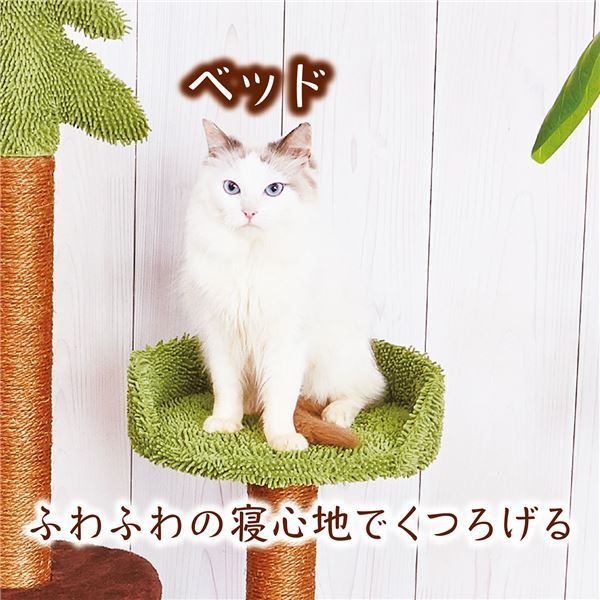 ねこまどグリーンテラスハイタワー