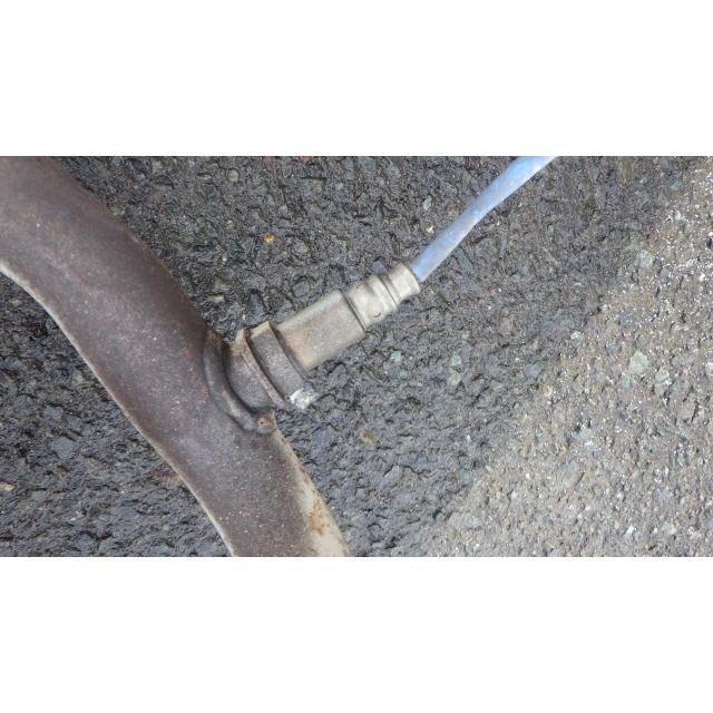 定番品』山口一郎 「Black Bird」 定番品』山口一郎 「Black