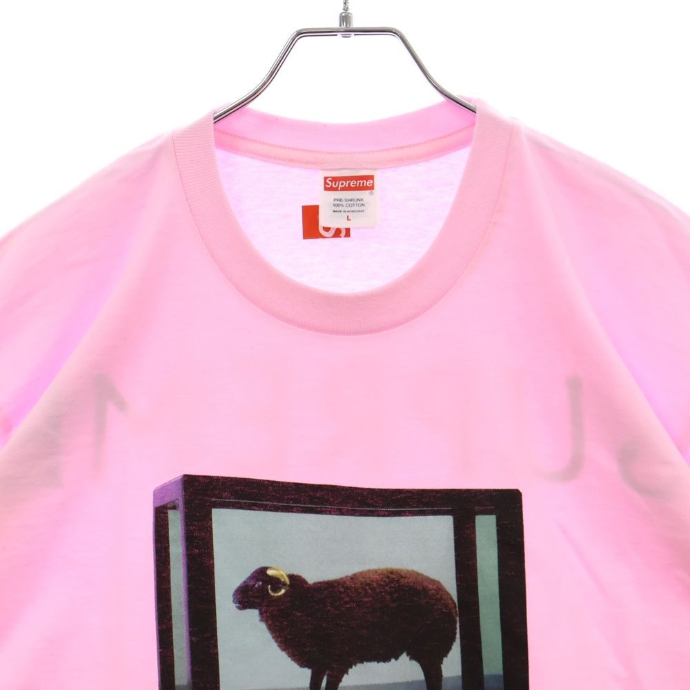 SUPREME (シュプリーム) 25SS Damien Hirst Tee ダミアンハースト  