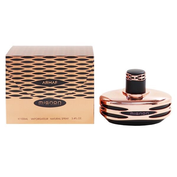 アルマフ ミニョン ブラック EDP・SP 100ml 香水 フレグランス MIGNON BLACK ARMAF 新品 未使用