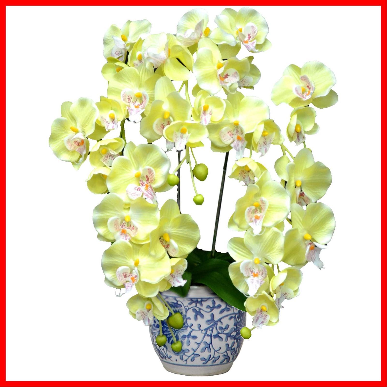 人気商品 陶器 鉢 化粧箱 インテリアグリーン 入 イエロー 光触媒 高さ 人工観葉植物 55cm 新築祝い 3本立ち 開店祝い 造花 ギフト プレゼント包装 胡蝶蘭 30174