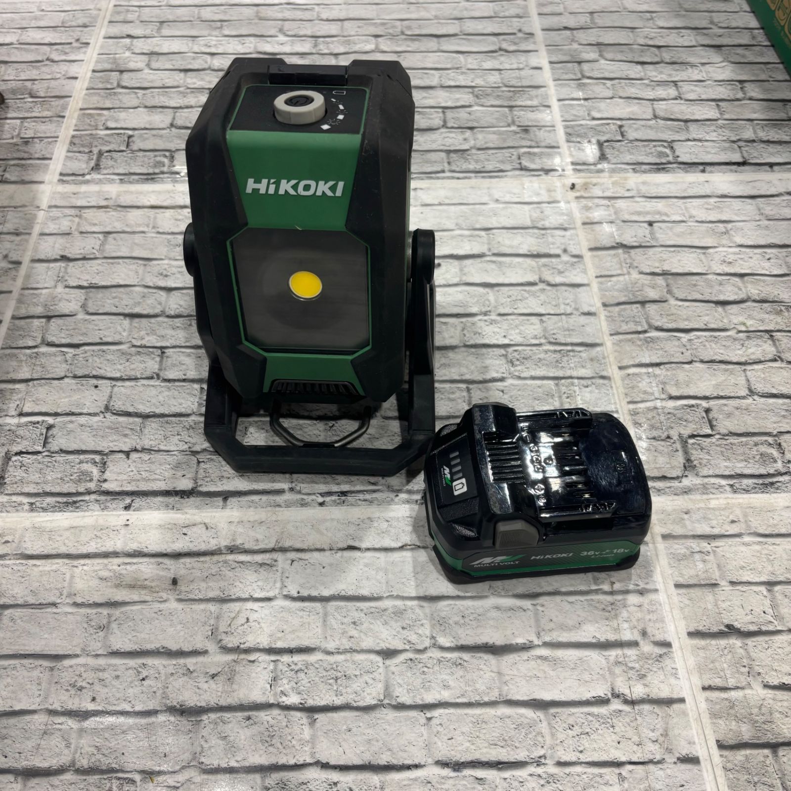 MB-M251121-11) アグラオネマ ピクタム