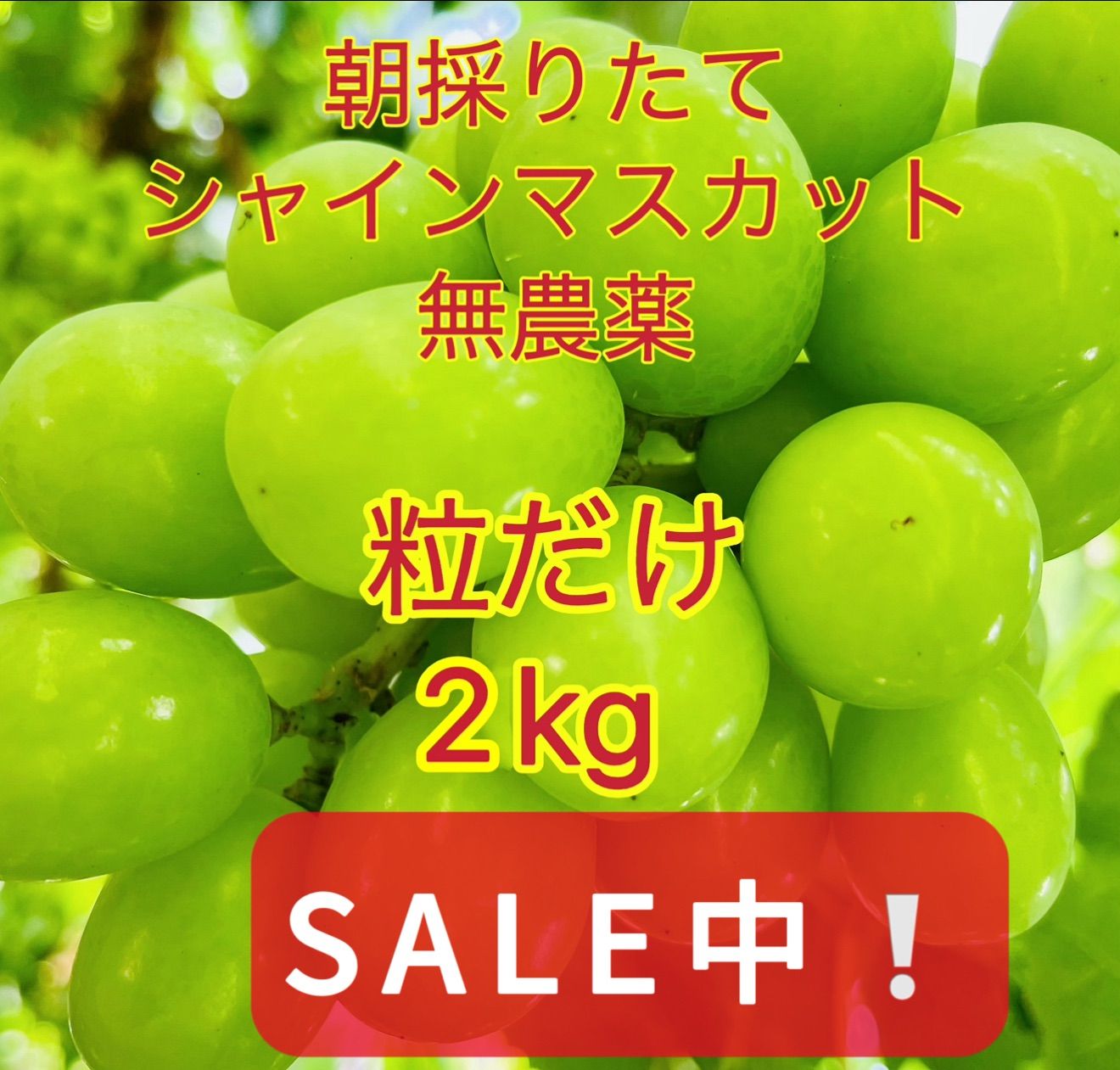 【予約販売】岡山シャインマスカット 無農薬2kg大粒秀品粒だけ完熟糖度16以上甘 予約販売】岡山シャインマスカット 無農薬2kg大粒秀品粒だけ完熟
