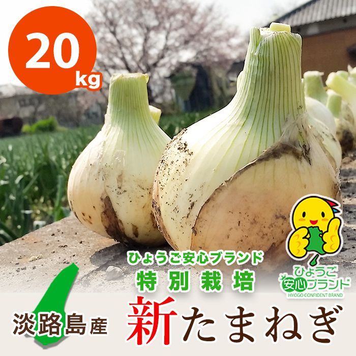 【平成７年３月から極早生】【あさひ】20kg 淡路島産 新たまねぎ わせ品種 ひょうご安心ブランド 特別栽培１週間程度で食してください★フォロワー様ショップクーポンもご利用くださいませ★