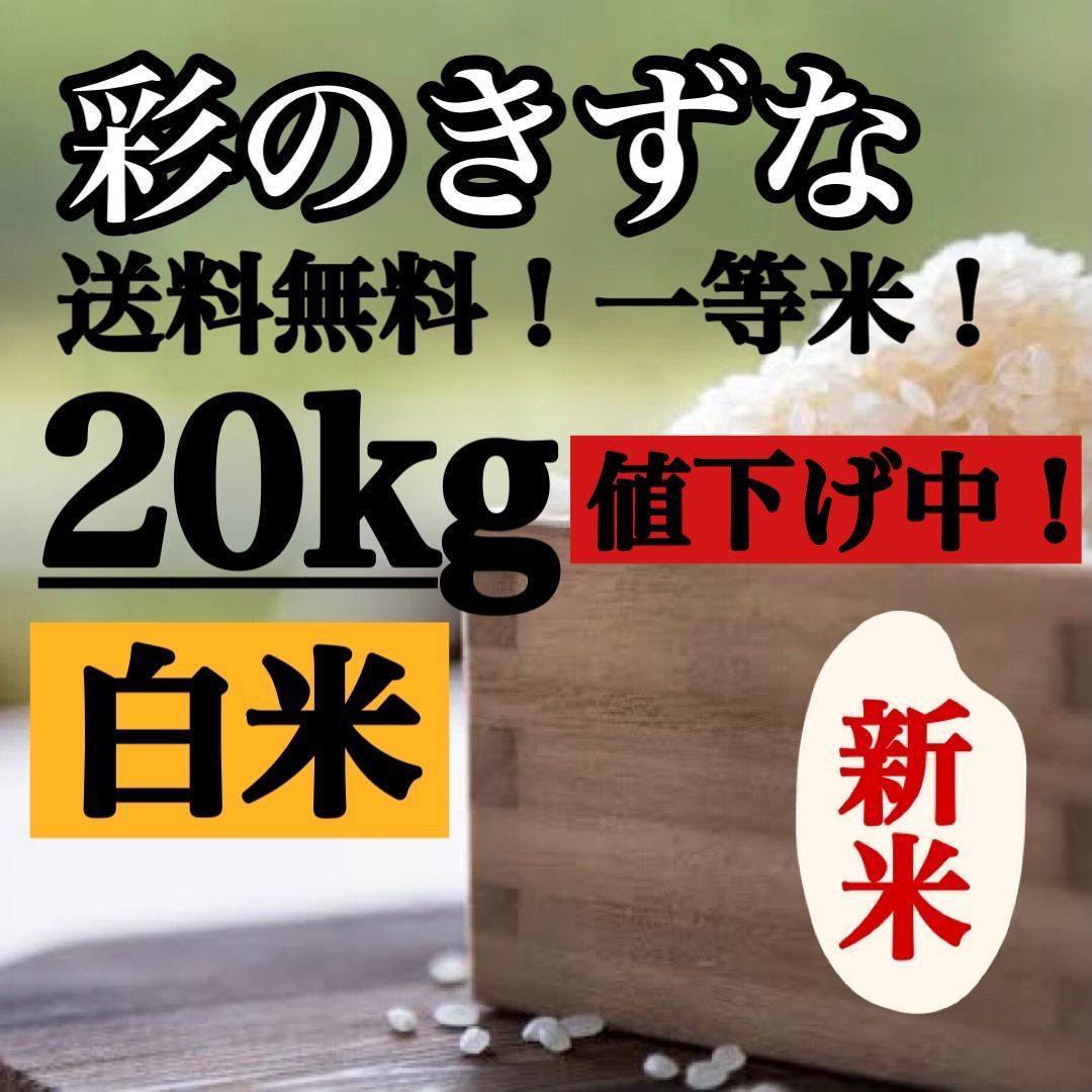 白米 20kg コシヒカリ 新米 埼玉県産 令和4年産 送料無料 米 20キロ - 米