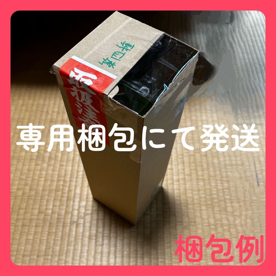 スモールサイズ】 1株 国産カカオの実から育てたカカオ苗 - 自宅で 