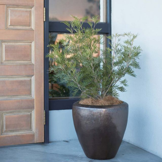 プランター 植木鉢 大型 おしゃれ 円形 円 アンティーク 陶器鉢 ウーヌム ジャーミドル 直径400×高さ400 穴あり ホワイト ブロンズ ガーデニング 園芸用品 庭 深型 店舗 花 庭 寒冷地対応 送料無料 STEELWINDOWSANDDOORS_COM