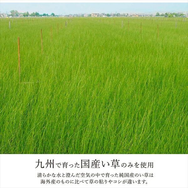 い草 カーペット ござ 江戸間2畳 約174×174cm ブラウン 防炎 抗菌 防臭 日本製 国産 市松柄 ラグ マット 敷き物 い草マット イ草マット 江戸間2畳 い草 ラグ 最高級 モダン 江戸間2畳(約174