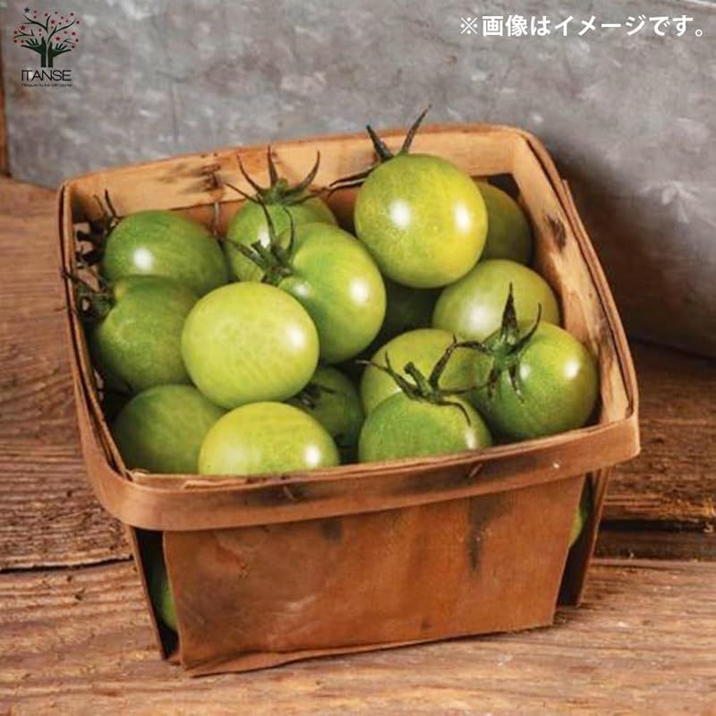 品種で選べる野菜苗