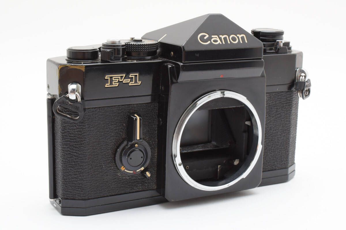 ボディ 一眼レフ