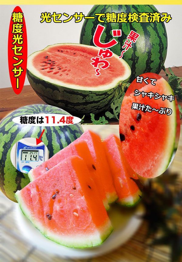 1玉入