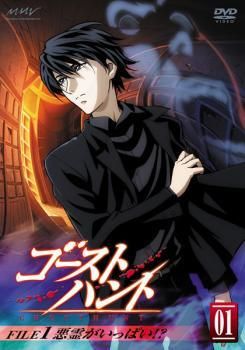 ゴーストハント (11巻セット) [レンタル落ち] [DVD]