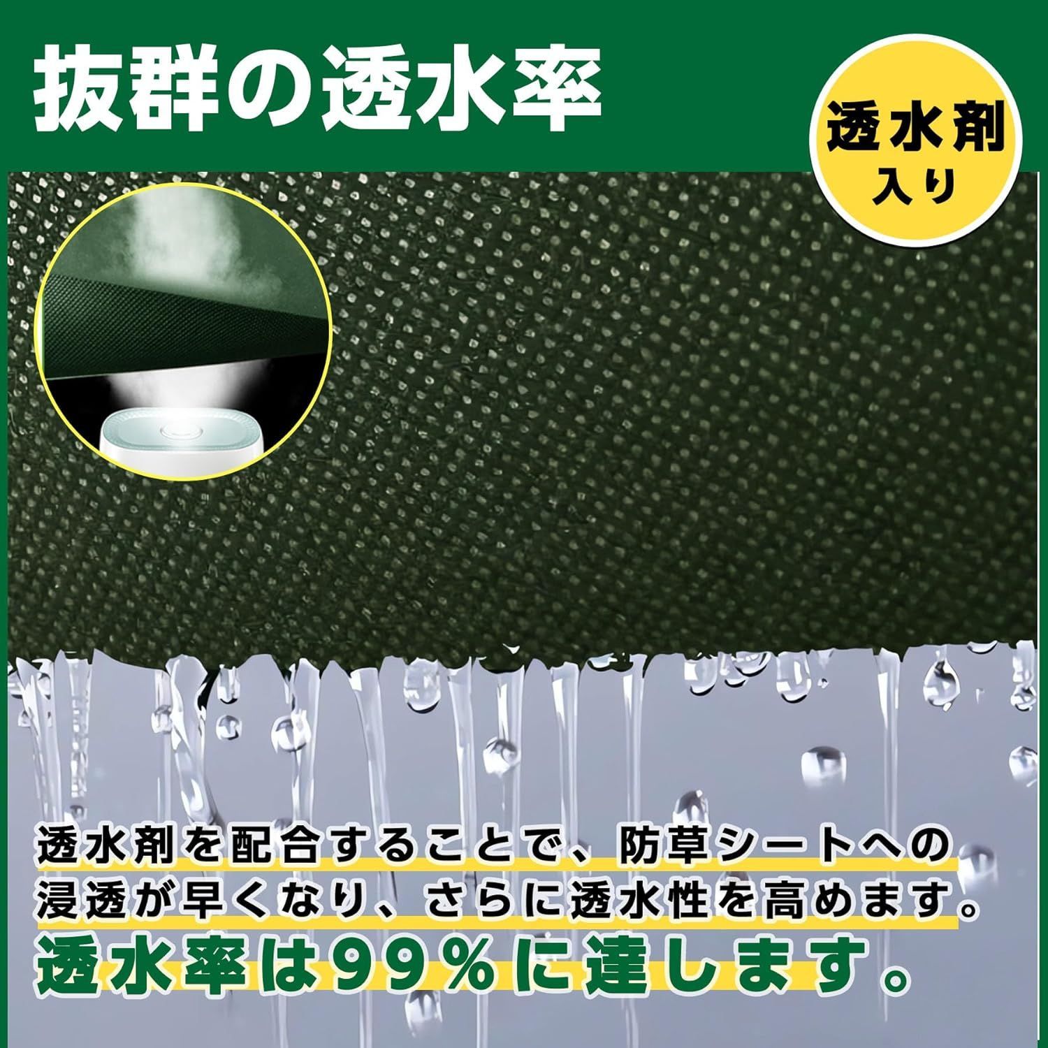 グリーン ブラック