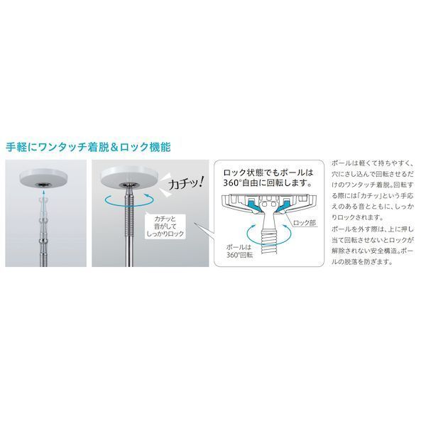 2個入 |標準サイズ