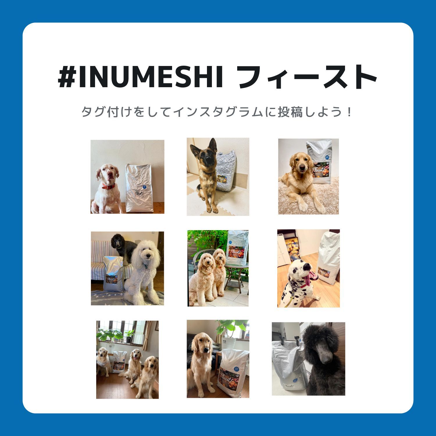 INUMESHI フィースト 1歳以上 大型犬用 15kg ブリーダーパック USTAUSTRALIA_COM_AU
