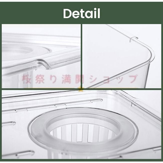 ボトルテラリウム