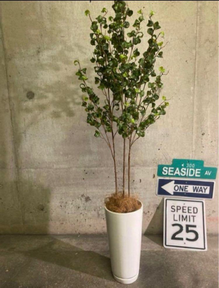 光触媒 人工観葉植物 ウォールグリーン フェイクグリーン ベンジャミン