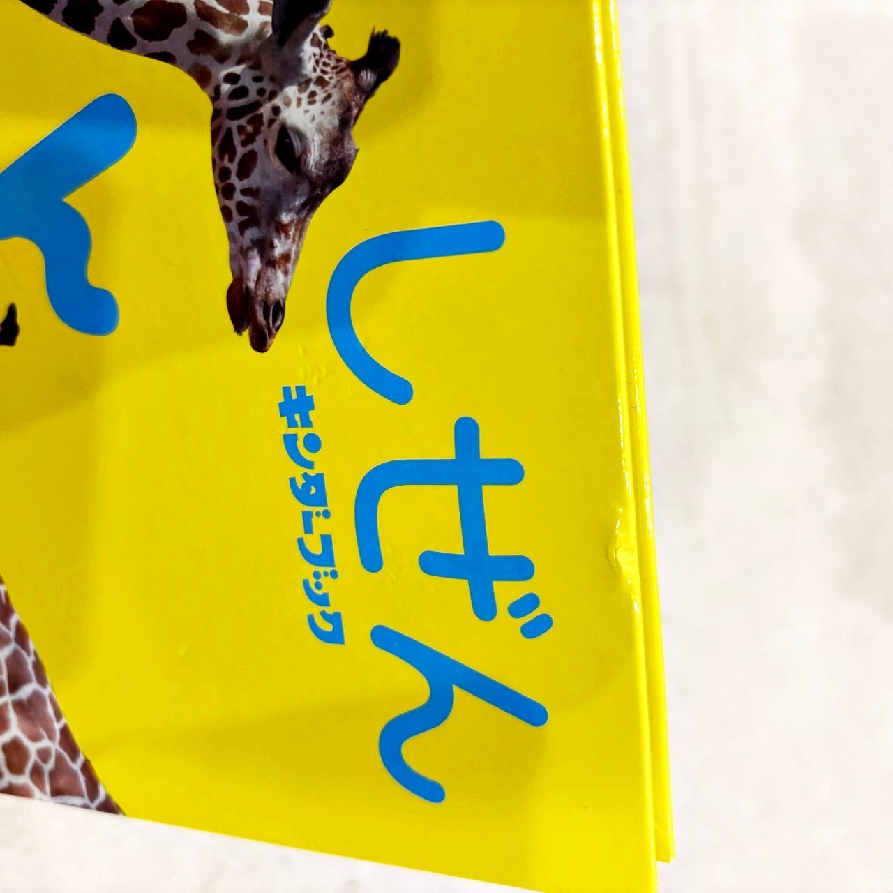 しぜん キンダーブック 60冊セット フレーベル館 まとめて売り